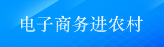 電子商務(wù)進農(nóng)村