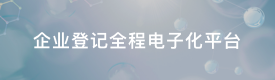 企業(yè)登記全程電子化平臺