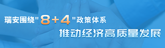 8+4政策體系