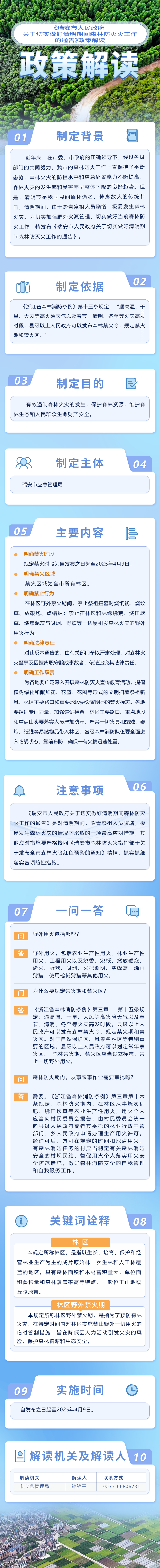 清明期間森林.png